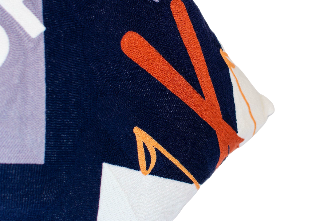 Aspen Ski Needlepoint Pillow