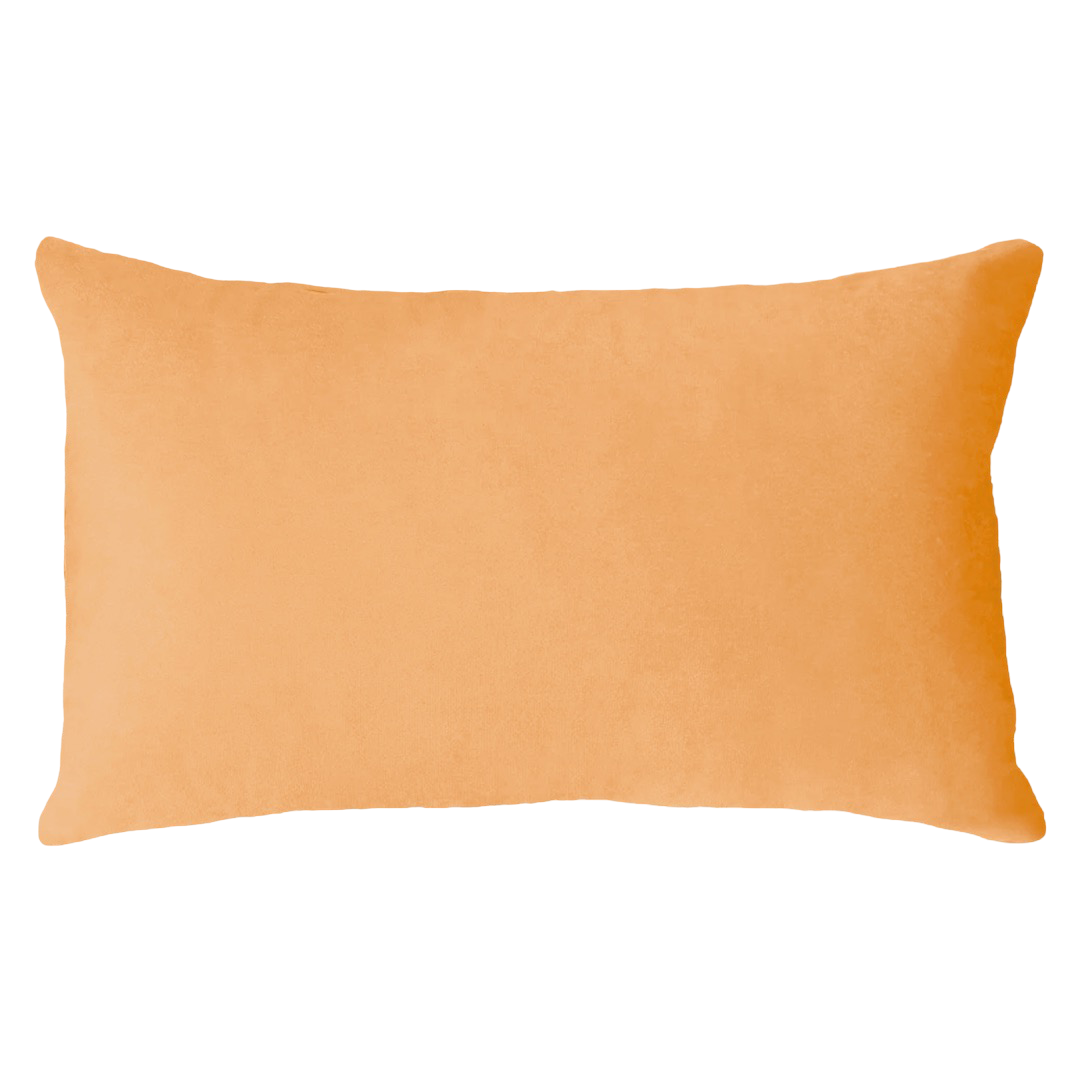 Scorpio Zodiac Needlepoint Pillow